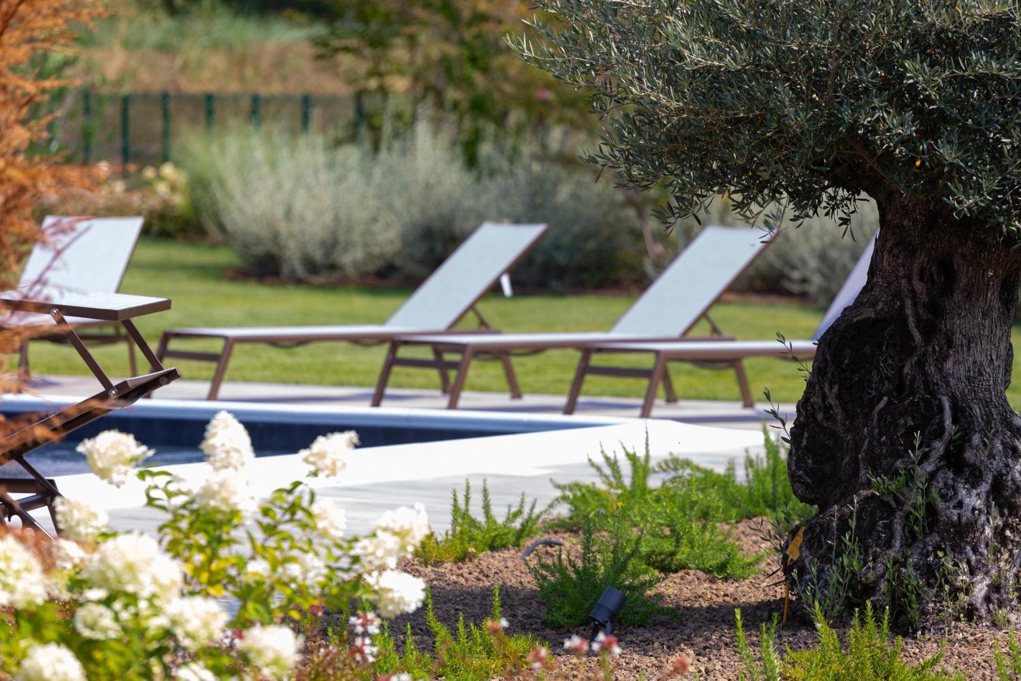 Casa Massaro Todeschini Aparthotel Abano Terme