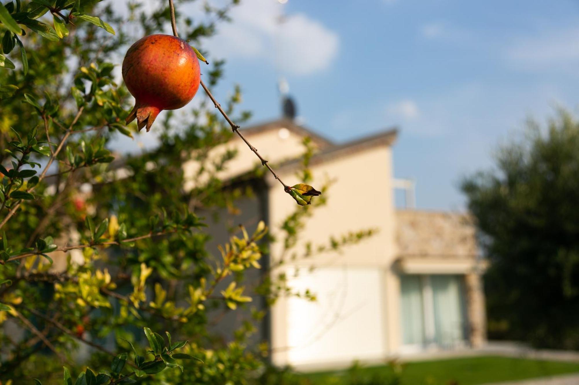 Aparthotel Casa Massaro Todeschini