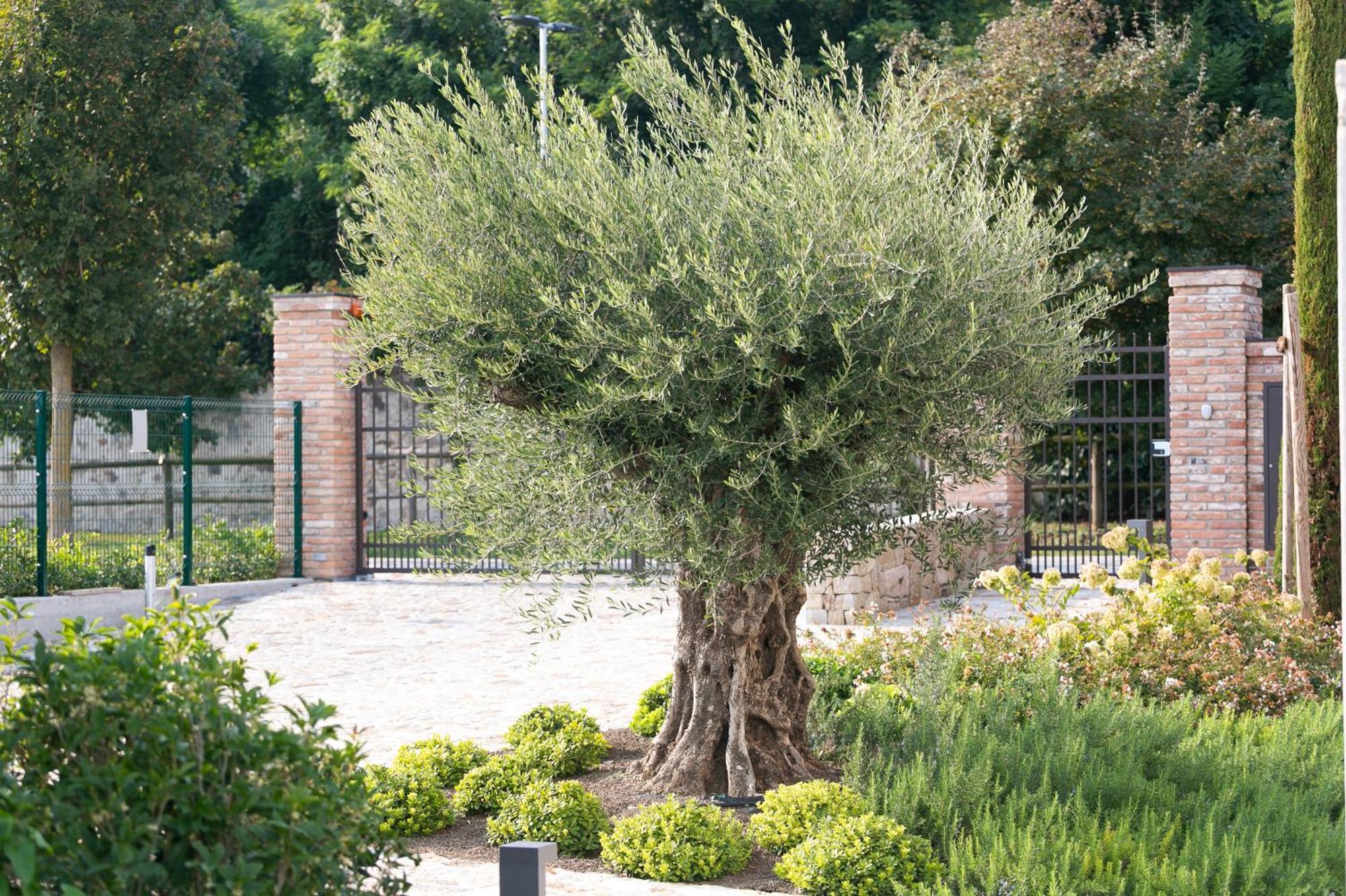 Casa Massaro Todeschini Aparthotel